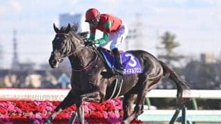 【中山GJ出走馬・騎手確定】マイネルグロン＆石神深一騎手、ニシノデイジー＆五十嵐雄祐騎手など12頭