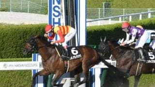 【アンタレスS出走馬・騎手確定】ハギノアレグリアス＆岩田望来騎手、ヴィクティファルス＆池添謙一騎手など16頭