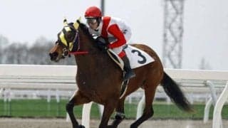 新種牡馬ステッペンウルフ唯一の登録産駒 門別でデビューに向け調教検査を実施