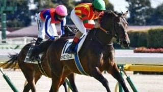 母はオークス馬シンハライト ダービー目指すセイロンジェムズがデビュー2連勝狙う