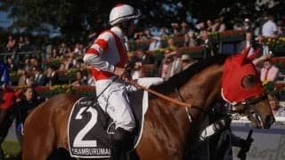 香港チャンピオンズデー出走予定の日本馬が発表…オオバンブルマイ、プログノーシスなど