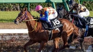 半兄はGI/JpnI・9勝の砂王エスポワールシチー アンタレスSで兄弟重賞Vなるか