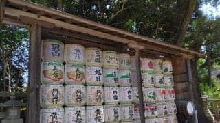 Ｗ杯優勝フランス代表が活躍「マルセイユ戦｣後のボルドーで【サッカーと酒の切っても切れない関係】の巻(1)