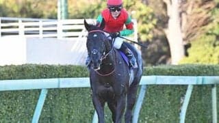 【中山GJ枠順確定】マイネルグロンは4枠4番、ジューンベロシティは1枠1番