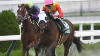 【アンタレスS枠順確定】ハギノアレグリアスは1枠1番、ヴィクティファルスは2枠3番