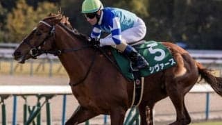 【アーリントンC枠順確定】シヴァースは3枠5番、ディスペランツァは2枠3番