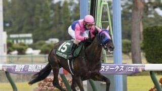 21年レパードS覇者メイショウムラクモ 左腸骨々折で6カ月以上の休養を要す見込み