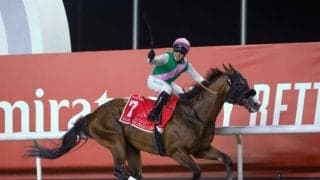 日本馬は5頭が掲載 ロンジンワールドベストレースホースランキングが発表