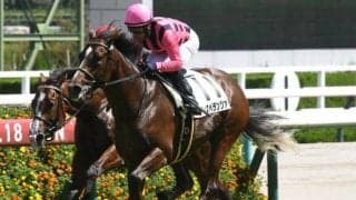 【アーリントンC予想】前走重賞組が強さ見せる一戦 1勝クラス出走馬に求められる好走条件は？