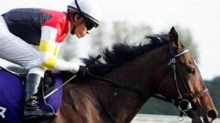 14年エリザベス女王杯覇者の仔 土曜阪神5Rで待望デビュー