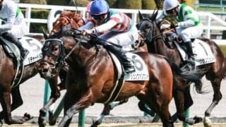 阪神芝は外差し優勢 大器ジュンヴァンケットが決める