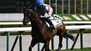 アーリントンCで3きょうだい重賞Vへ GI馬ピクシーナイトの半弟が挑む