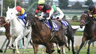 【マイラーズC想定馬・騎手】セリフォス、ソウルラッシュなど16頭