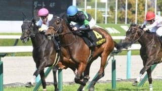 【福島牝馬S想定馬・騎手】グランベルナデット、コスタボニータなど15頭