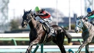 【フローラS想定馬・騎手】クリスマスパレード、バロネッサなど15頭