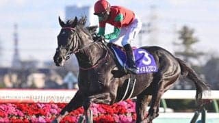 【中山GJ予想】上半期の障害チャンピオン決定戦 5連勝中の王者を止める馬は現れるか