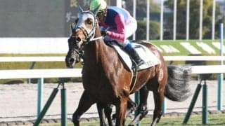 【皐月賞予想】鋭い末脚が明暗を分ける 前走上がり最速馬に注目