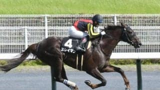 【アンタレスS予想】近年台頭は名古屋城S組 格上JpnII組も侮れない