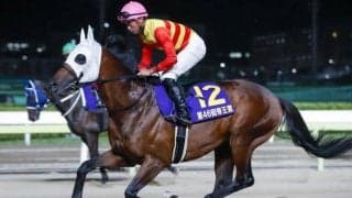 【アンタレスS前日オッズ】ハギノアレグリアスが3.4倍で1番人気