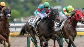 半兄はGIの常連ダノンベルーガ コスタレイが連勝なるか