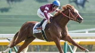 今年は「オレンジデー」4月14日の皐月賞 過去の7枠の勝率を調べてみた