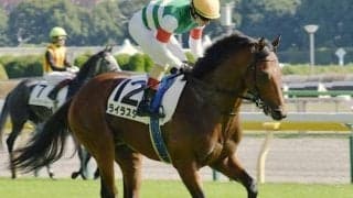 名牝ハープスターの仔 転厩初戦で巻き返し狙う