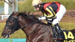 GI・7勝ジェンティルドンナの半弟 一族初のダート重賞VへアンタレスS参戦