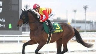 【アンタレスS】帝王賞へとつながるステップレース 飛躍目指すダート路線の強豪が激突