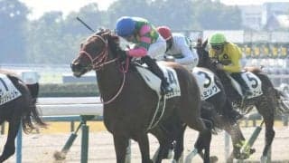 皐月賞当日の中山芝の傾向は？ 内枠＆中団待機のミスタージーティーなどに注目