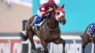 フォーエバーヤングが米国に到着 陣営「輸送してきたとは思えないくらい元気いっぱい」