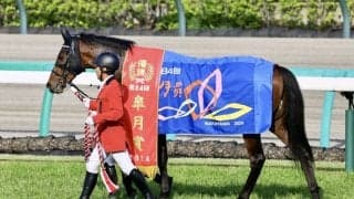 WIN5は230万円超の払戻し…皐月賞はジャスティンミラノが無傷の3連勝