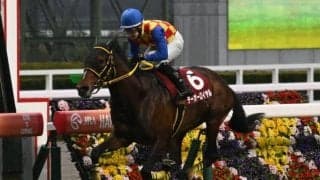 【天皇賞(春)】テーオーロイヤル、ドゥレッツァらが登録