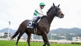 【マイラーズC】ソウルラッシュ、セリフォスらが登録