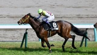 千葉直人調教師 JRA初勝利…「感無量です」