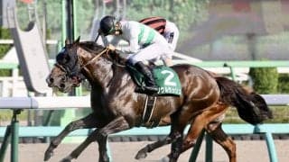 【マイラーズC登録馬】ソウルラッシュなど17頭