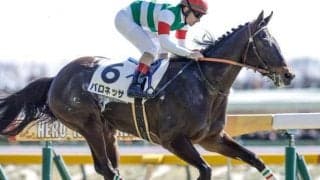 【フローラS見どころ】成長著しいバロネッサの連勝に期待