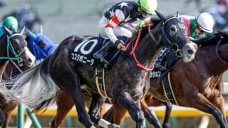 【福島牝馬S見どころ】惜敗続きに終止符コスタボニータが重賞初制覇だ