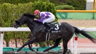 【先週のJRA抹消馬】ダートで活躍のロッシュローブ、良血馬フィリオアレグロなど