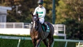 【マイラーズC想定騎手】ソウルラッシュは松山弘平騎手、セリフォスは川田将雅騎手