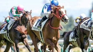 【フローラS想定騎手】アドマイヤベルは横山武史騎手、クリスマスパレードは石川裕紀人騎手