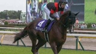 【AI予想・マイラーズC】前走の人気と内容には要注意！  近走の敗因が明確で巻き返しに期待できる本命候補とは