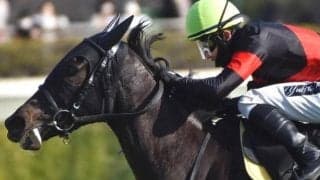 無敗戴冠は一度もないフローラS 父キタサンブラックの2戦2勝馬が歴史をつくるか