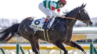 半兄は芝＆ダートの二刀流・ドゥラエレーデ 良血馬がフローラSで兄妹重賞V狙う