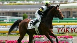 “パンサラッサの母”が新たな預託功労馬に Yogiboヴェルサイユリゾートファームに入厩