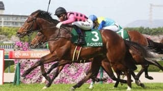 【アーリントンC】モレイラ騎乗、ディスペランツァが人気に応える