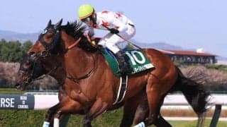 【アンタレスS】ミッキーヌチバナが重賞初制覇…混戦から抜け出す