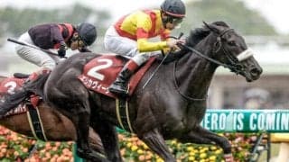 【福島牝馬S展望】ヴィクトリアMの前哨戦、狙いは距離短縮組