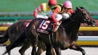 フローラS覇者で唯一のオークス制覇 史上初の同着GI馬サンテミリオン