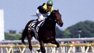 米の名種牡馬「トライマイベスト」 リバティアイランドやキングカメハメハといった名馬にも繋がる一頭