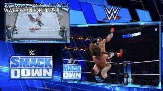 「眉山」や「牛殺し」をどう翻訳？ “プロレス界のディズニーランド”WWE実況の裏にある当意即妙の秘話【清野茂樹アナ連載#13】